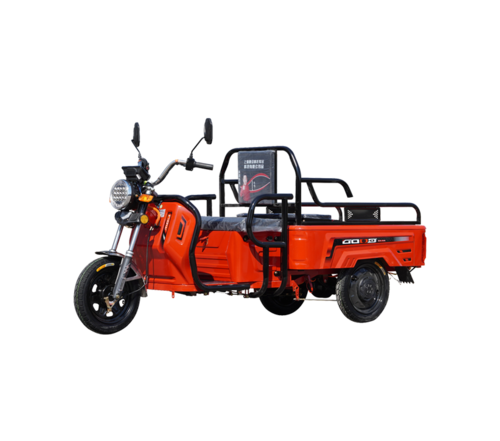 EV Brothers-800 For families